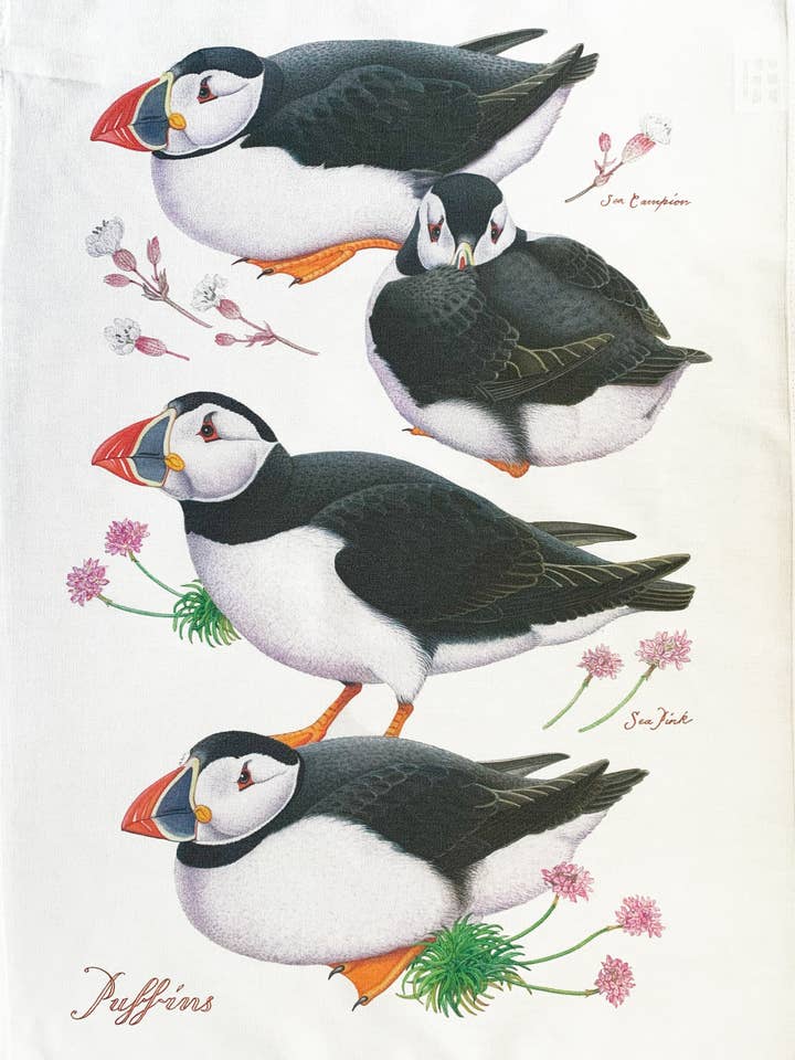 The Puffins large cotton tea towel for wholesale by Half a Donkey