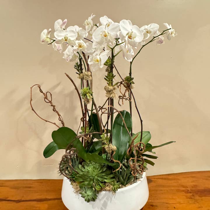 Angel Isabella – wholesale Konstgjorda blommor – Stort hantverksuppsättningsuppsättning-orkidé/mossa/lövverk