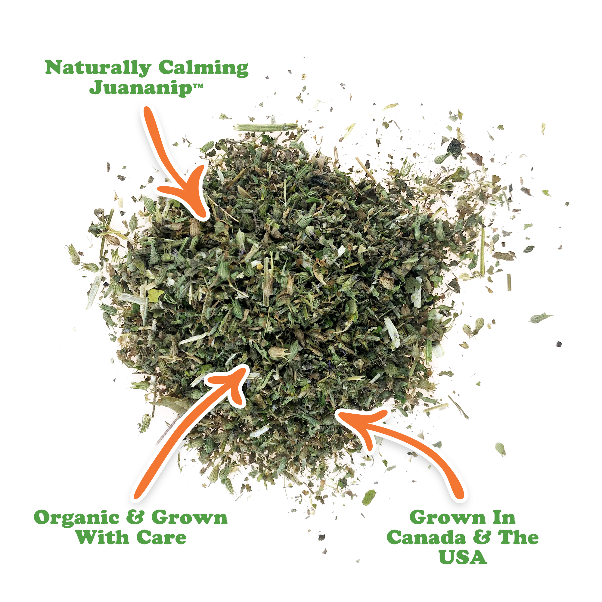 Doggijuana - Wholesale Pet Toy - Dog - Juananip Refill Tub2