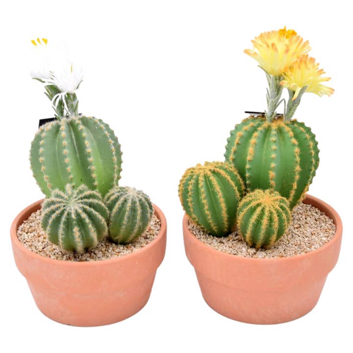 Jactal - Wholesale Artificial Plant - Artificial Cactus 37 Cm