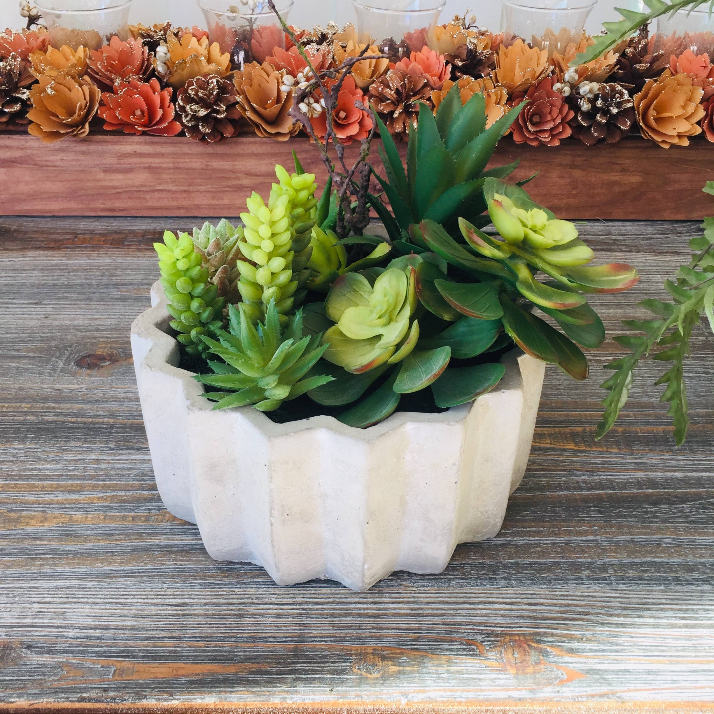 Galt International Company - Vendita all'ingrosso Pianta grassa - Succulenta sintetica in vaso di cemento da 17,8 cm di diametro6