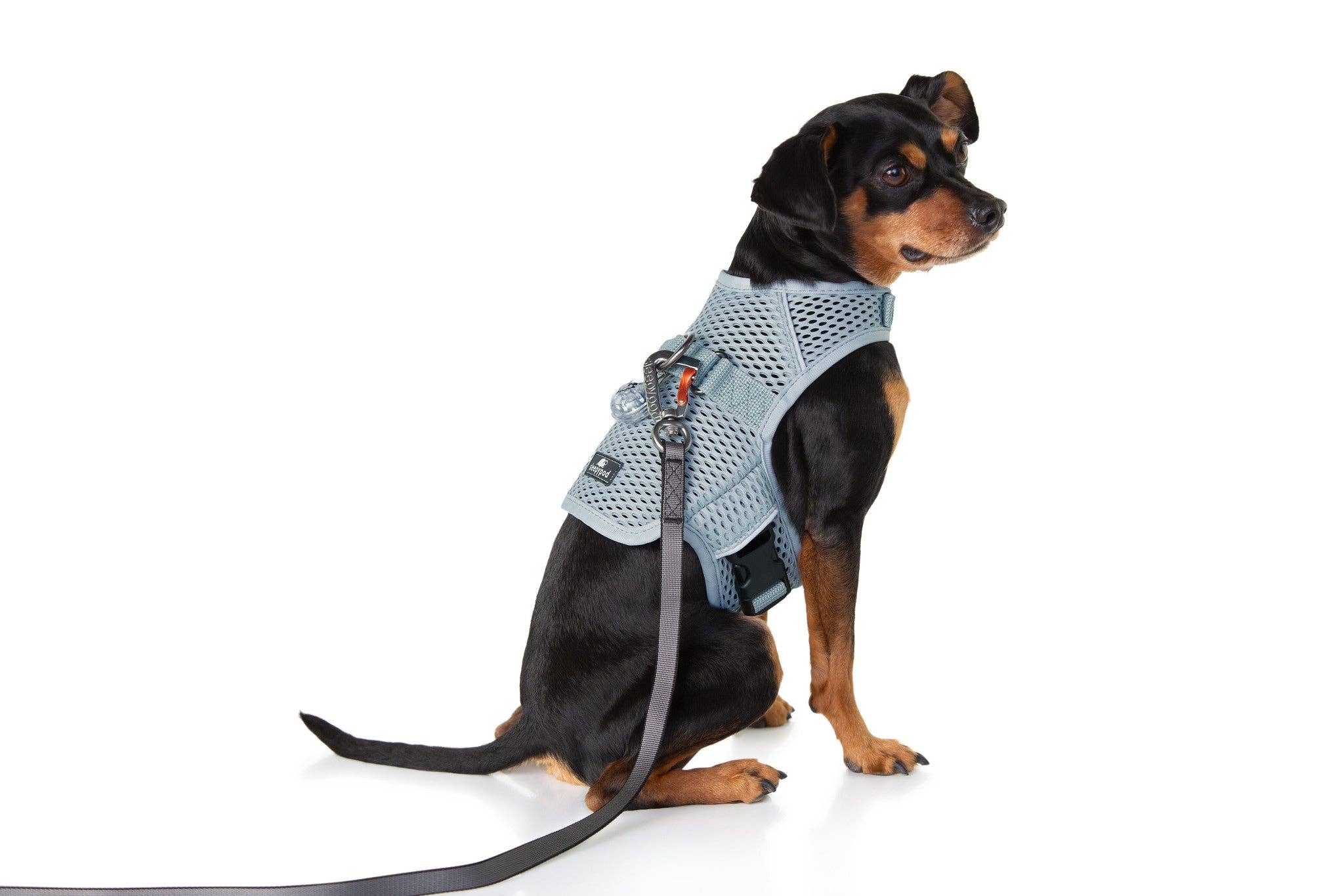 Sleepypod - Wholesale Pet Harness - Dog - Martingale Calming Harness for dogs7