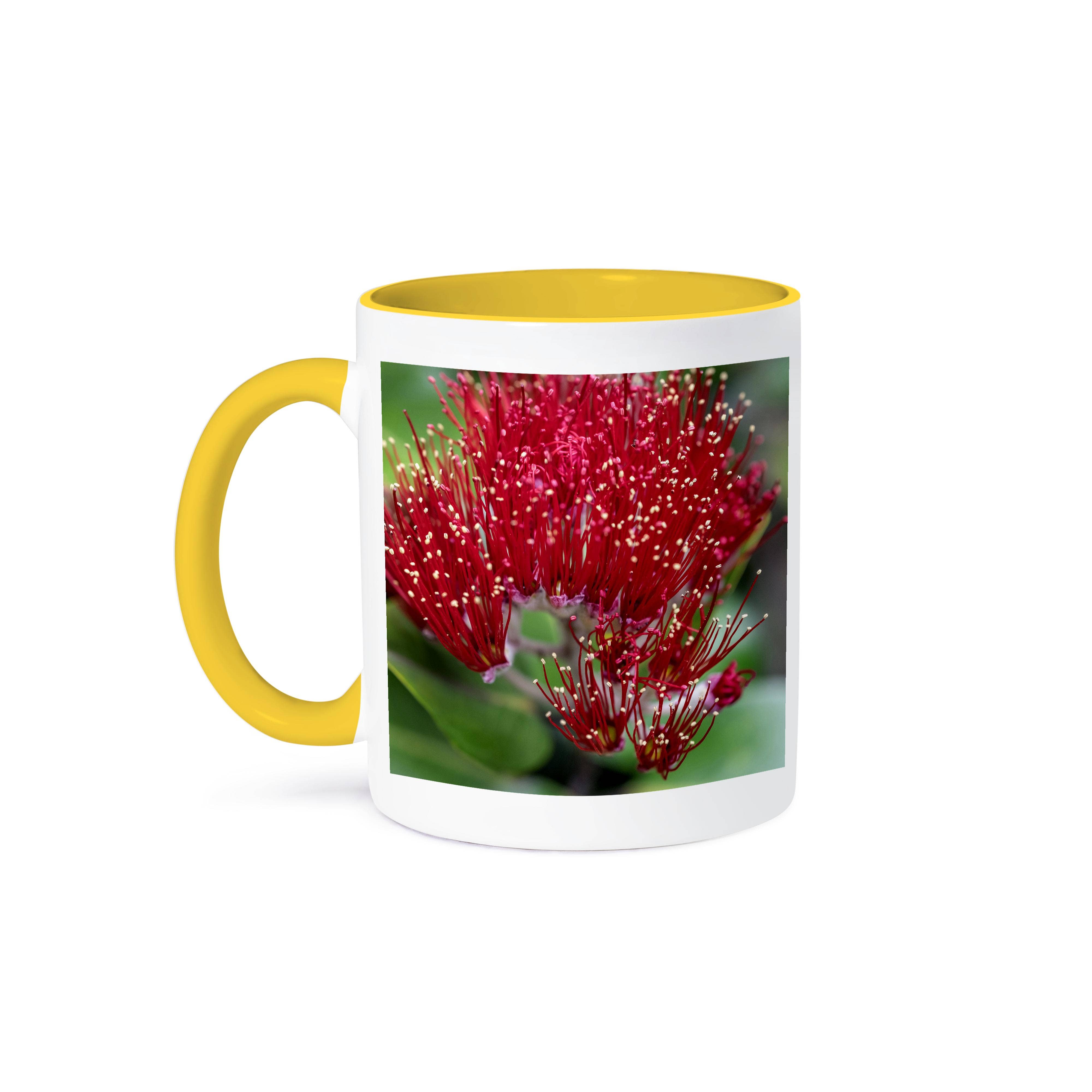 3dRose - Vendita all'ingrosso Tazza - 3dRose, Fiore dell'albero di Pohutukawa, Tazza0