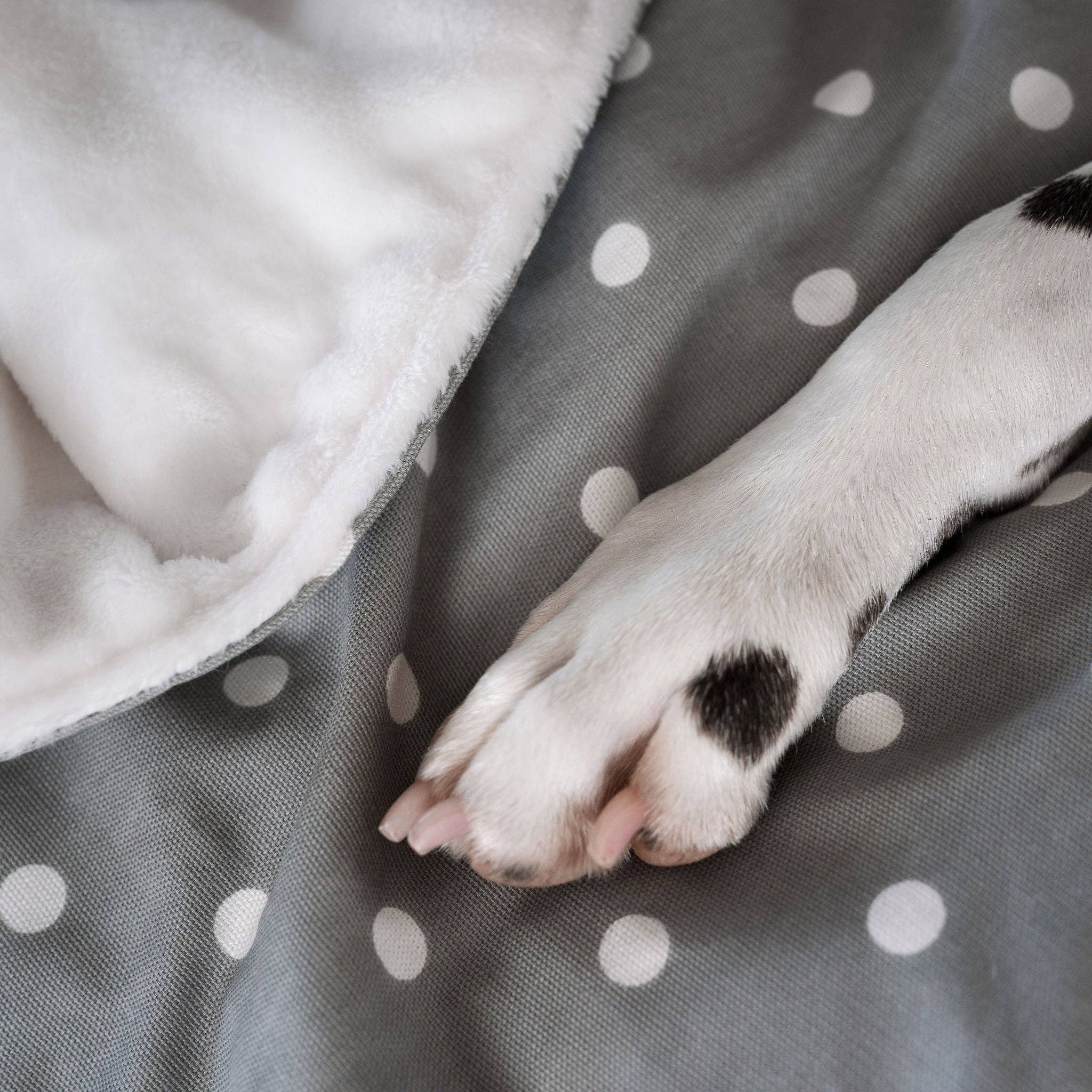 Lords and Labradors - Vente Couverture – chien - Couverture pour chien et chiot à pois et rayures20