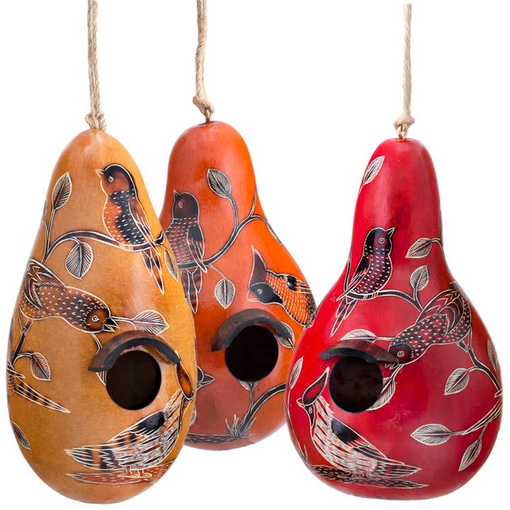 Lucuma Designs – wholesale Bird house – Birds of North America - Gourd Birdhouse - Artist Made