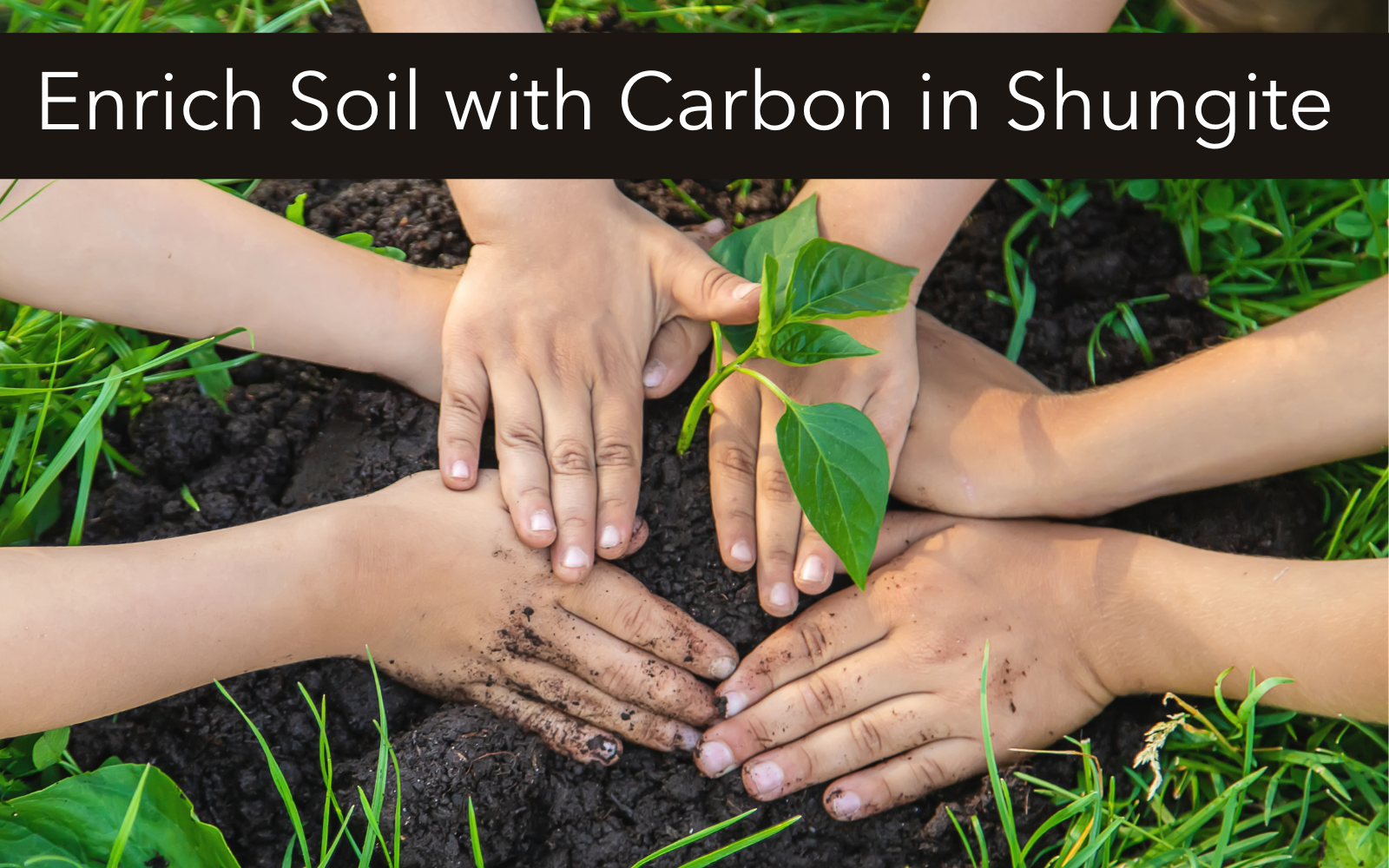 Karelia Creations - Wholesale Spiritual stone/crystal - Pure Shungite Powder | Authentic Organic | Skin Resin Plants2