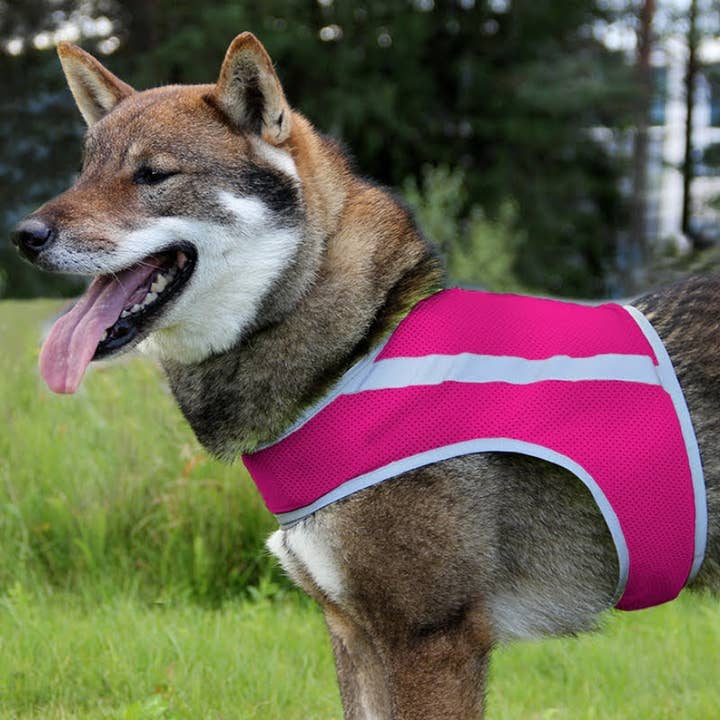 FINNERO - Wholesale Pet Vest - Dog - FINNERO ATTE Reflective Dog Attention Vest, 3 colors14