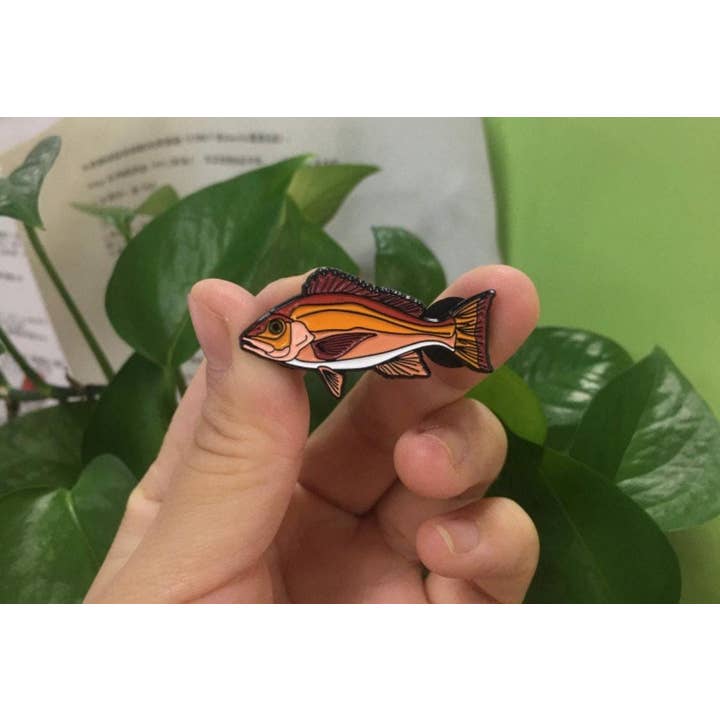 Hooked Pins - Wholesale Lapel Pin/Button - Red Snapper - Fish Pin with Gift Box1