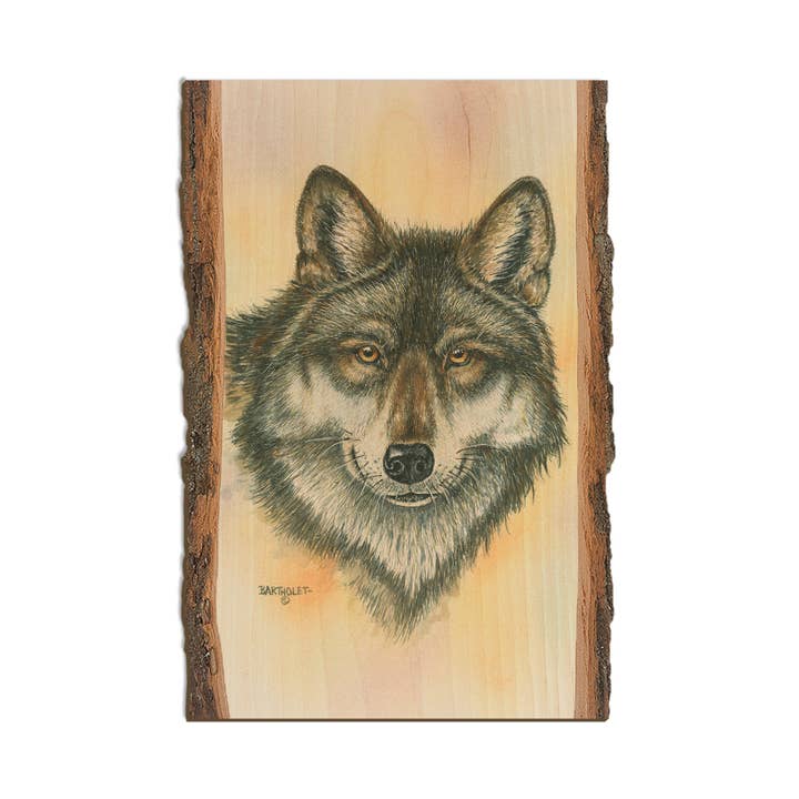 Bartholet's Alpha Wolf - Live Edge for wholesale by DaydreamHQ