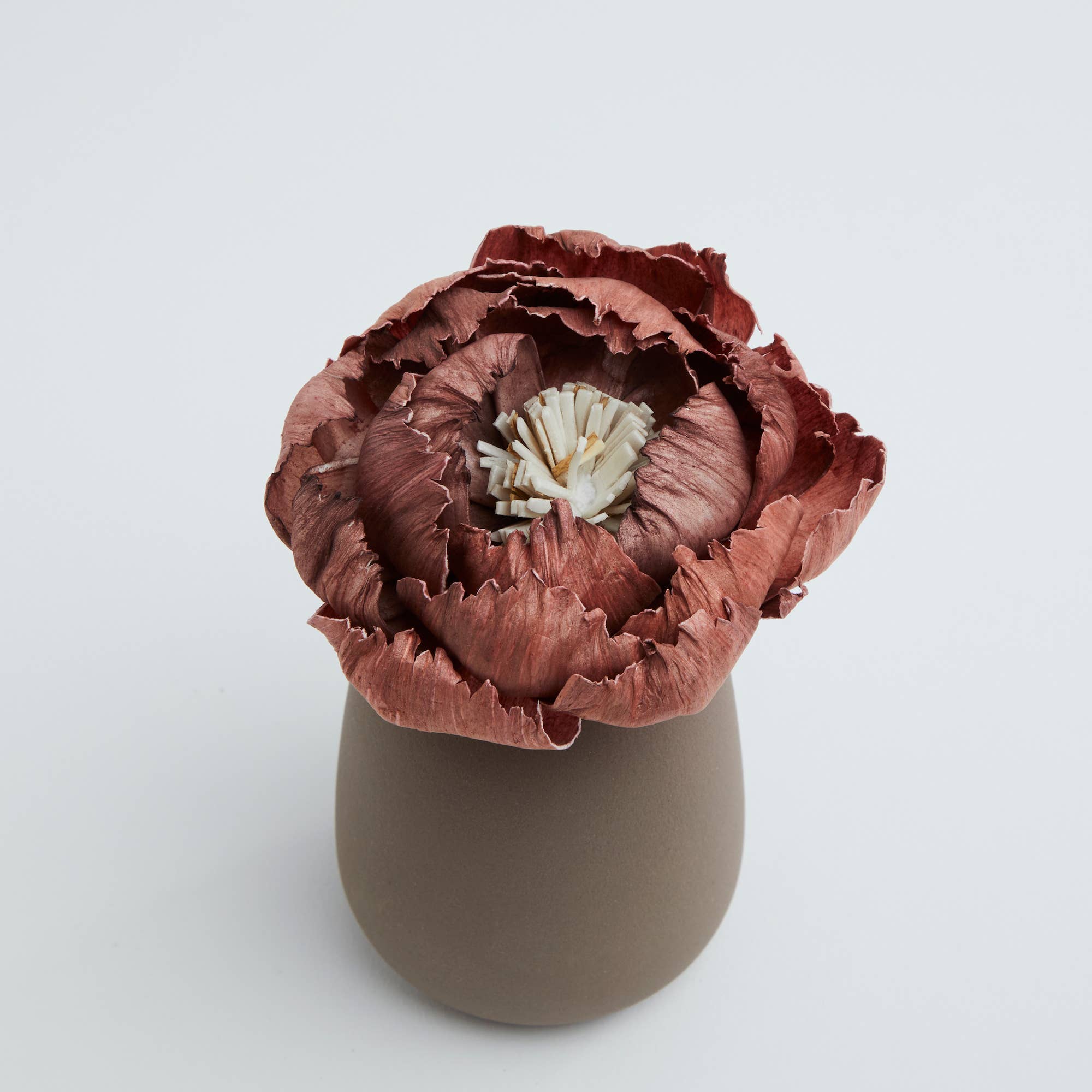 Anoq - Wholesale Reed Diffuser - Indoor fragrance diffuser - Perfumer CORALI Choco1