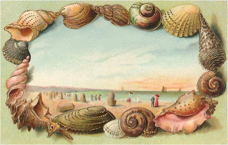 Found Image Press - Vente Affiche d'art - Impression d'art BR-54 Cadre Coquillage avec Scène de Plage0
