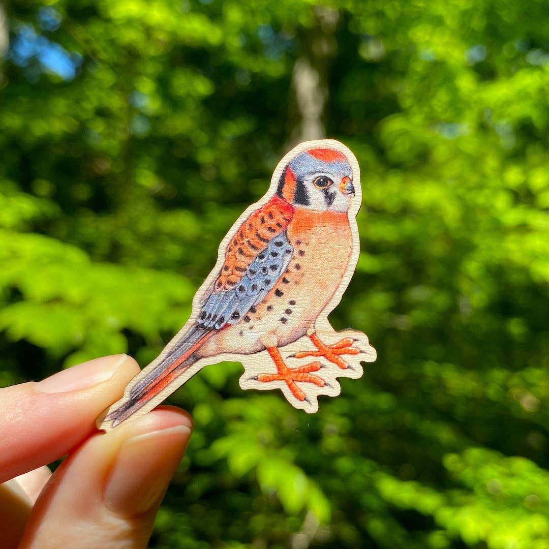 Allison Stoiser Art - Wholesale Lapel Pin/Button - American Kestrel Wooden Pin (Sustainably Sourced)1