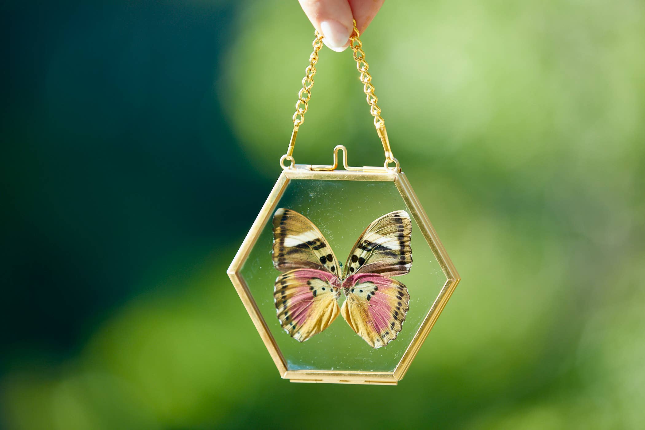 Rosa-grüner Schmetterling im Großhandel für deinen Shop – Faire Deutschland