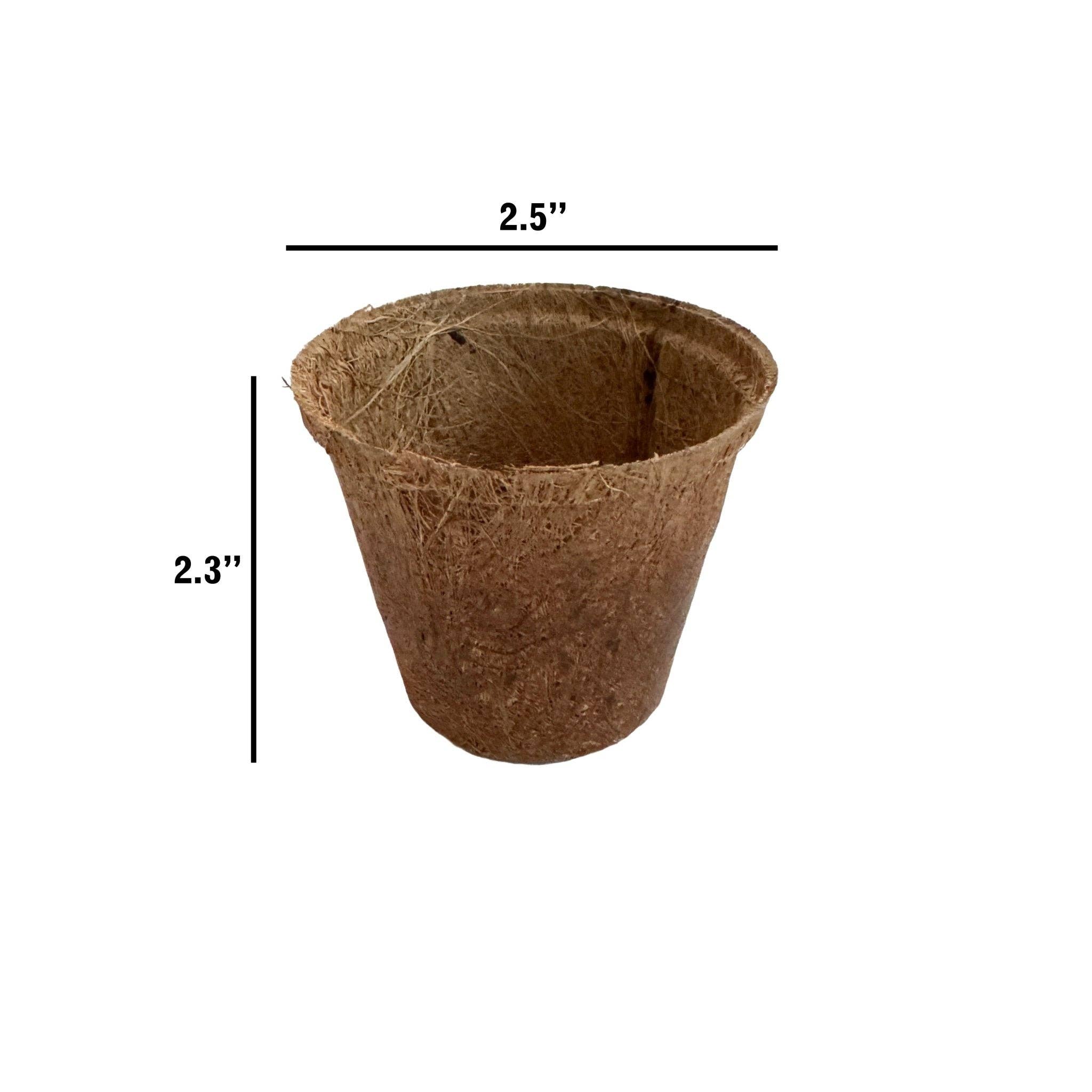 RT1home - Wholesale Plant Pot - COCONUT COIR SEED STARTER POTS1