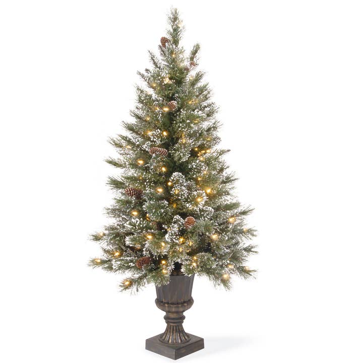 4 ft. Pre-Lit Aberdeen Blue Spruce Tree with Twinkly LED Lights, Plug-In for wholesale by National Tree Company