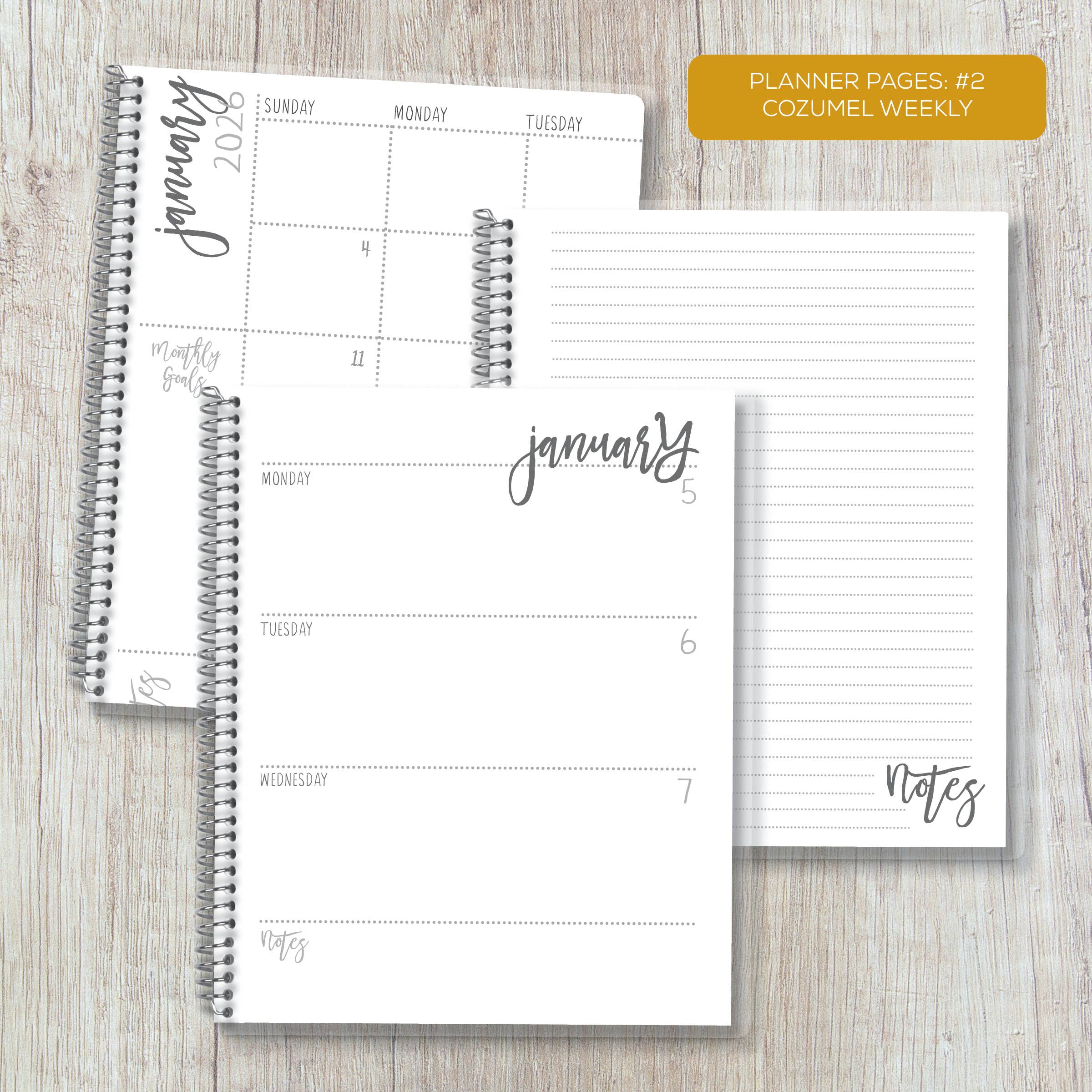 Practical Paper Company - Vente Agendas - Luxe Planners + Onglets et Pochette2