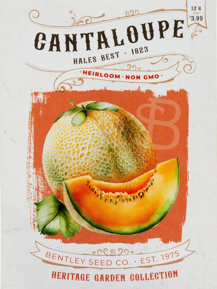 Cantaloupe-Hales Best 1823 for wholesale by Bentley Seed Co.