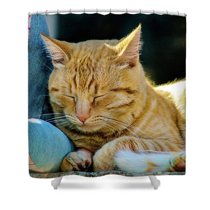 THE CALCATA'S RED CAT DUSCHVORHANG für den Großhandel von sorayadapuzzostore