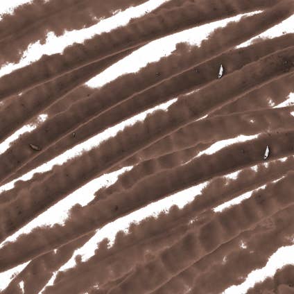 Alleyoop Makeup | Clean Beauty & Wellness - Wholesale Eyebrow Pencil/Filler - Swift Brow Shape + Fill Brow Pencil- Dark Brown4