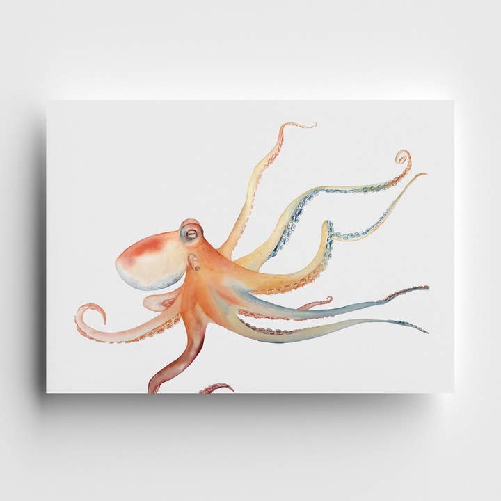 Pacific Queen Limited Edition Print for wholesale by Kelly Clause Art