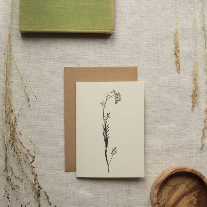 Alicia Breakspear - Wholesale Everyday Greeting Card - Lady's Smock Flower Greeting Card A6 Recycled Card