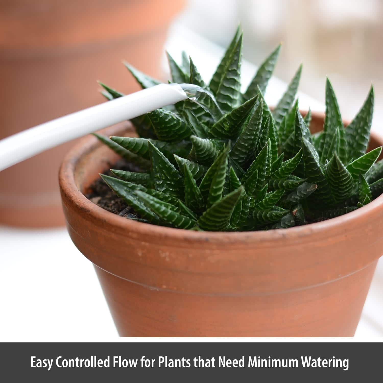 Wholesale Gifts Tomorrow - Wholesale Watering Can - White Chalk 1.4L Metal Coated Steel Indoor Watering Can2