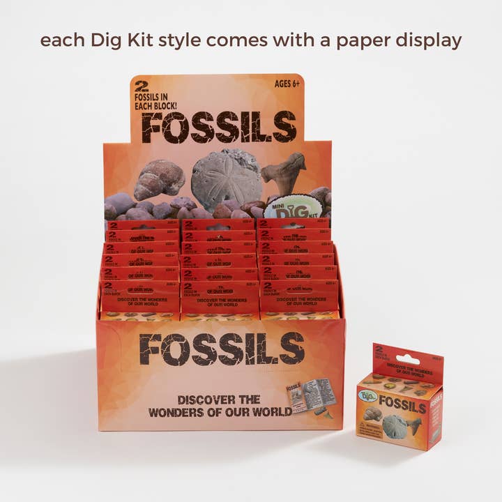 GeoCentral - Wholesale Toy Set - Kids - Mini Dig Kit: Rock & Minerals