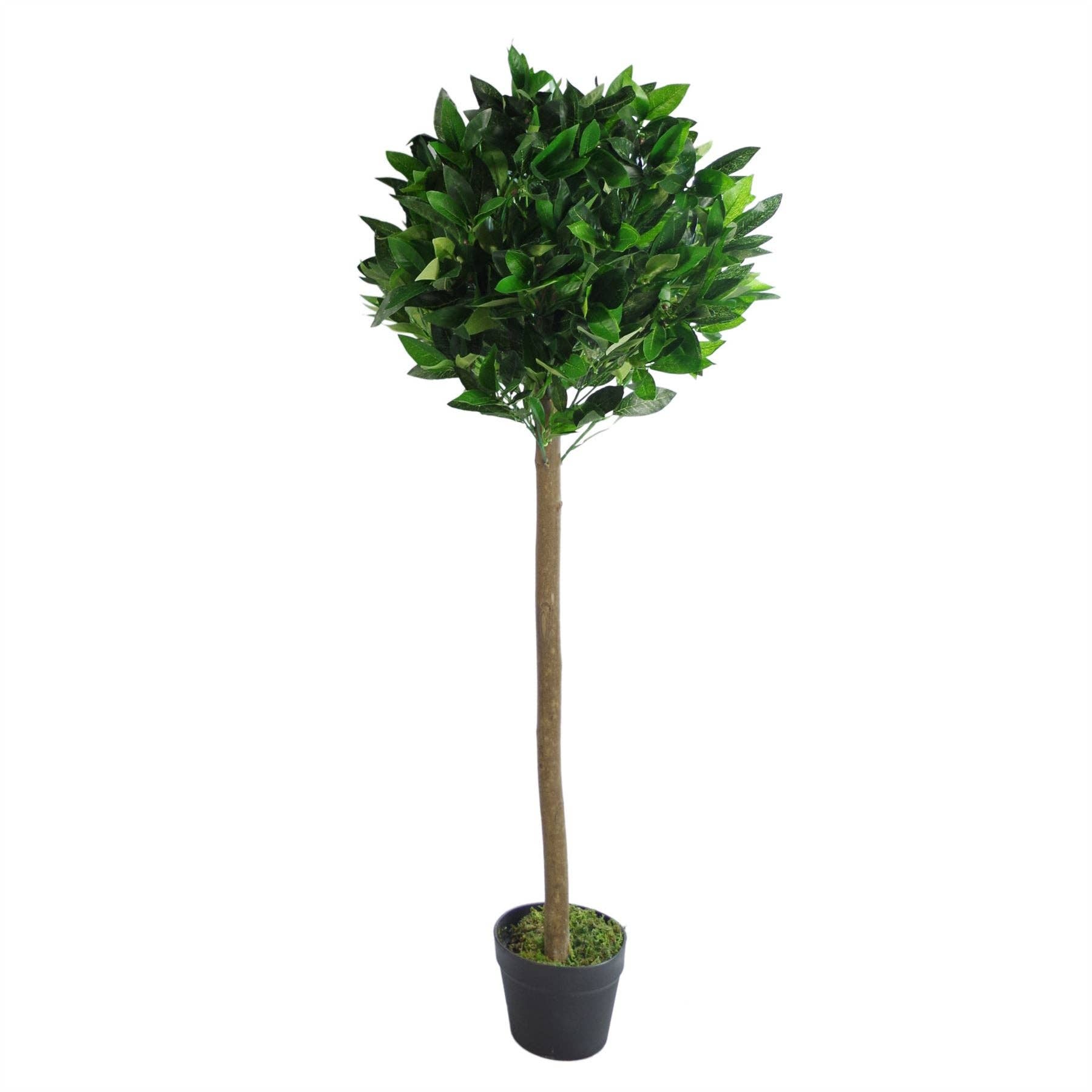 Leaf Design UK LTD – wholesale Artificial plant – Bay Laurel Trees Large Statement Entrance Trees10