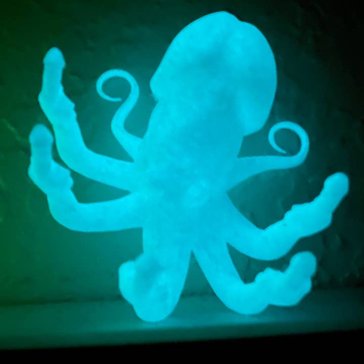 NumanPrints - Wholesale Gag Gift/Novelty Gift - Fucktopus Dickhead Angry Octopus Penis Middle Finger8