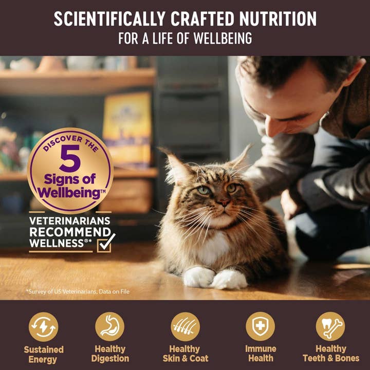 Petdropshipper - Wholesale Pet Food - Cat - Wellness Cat Core Signature Select Flaked Skipjack Tuna Salmon Entrée 5.3oz. (Case of 12)