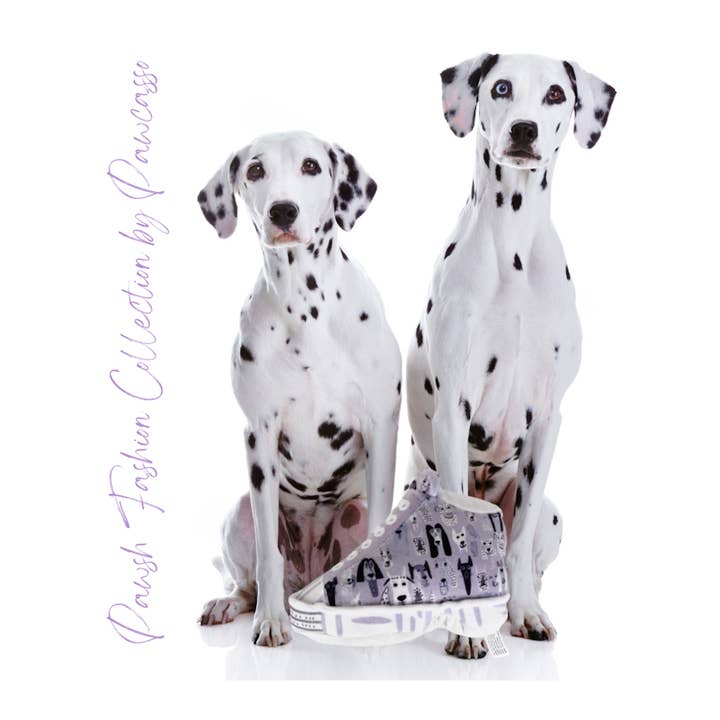 Pawcasso – Peluche - Cão por atacado – Pacote de Sapatilhas Pawcasso5