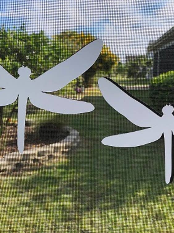 DCentral Two Dragonflies - Imanes flexibles para pantalla, 6 x 5 pulgadas para venta al por mayor de DCentral Magnetics