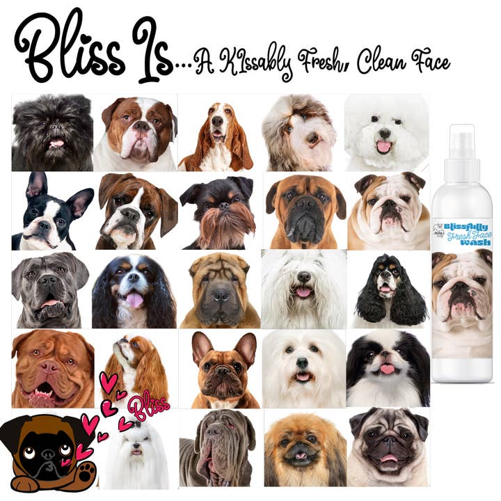 The Blissful Dog - Wholesale Pet Cleaning Supplies - Blissfully Fresh Face Wash I 1 Gallon3