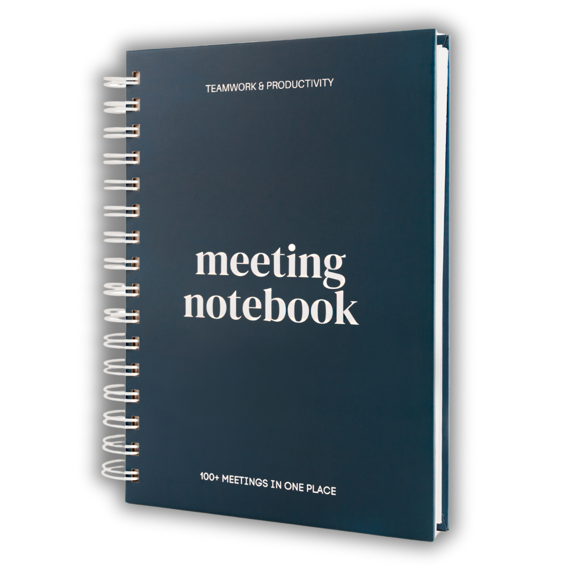 Lamare - Wholesale Notebook - Lamare Meeting Notebook – Project Planner & Work Organizer6