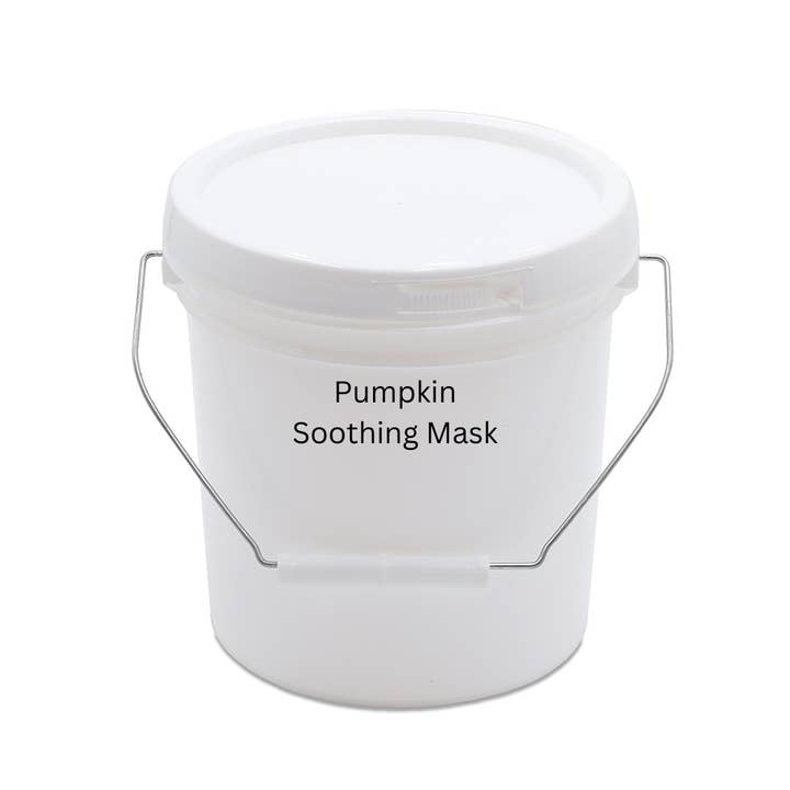 Primal Elements - Vendita all'ingrosso Maschera viso - Maschere per il viso all'argilla - 1 gallone4