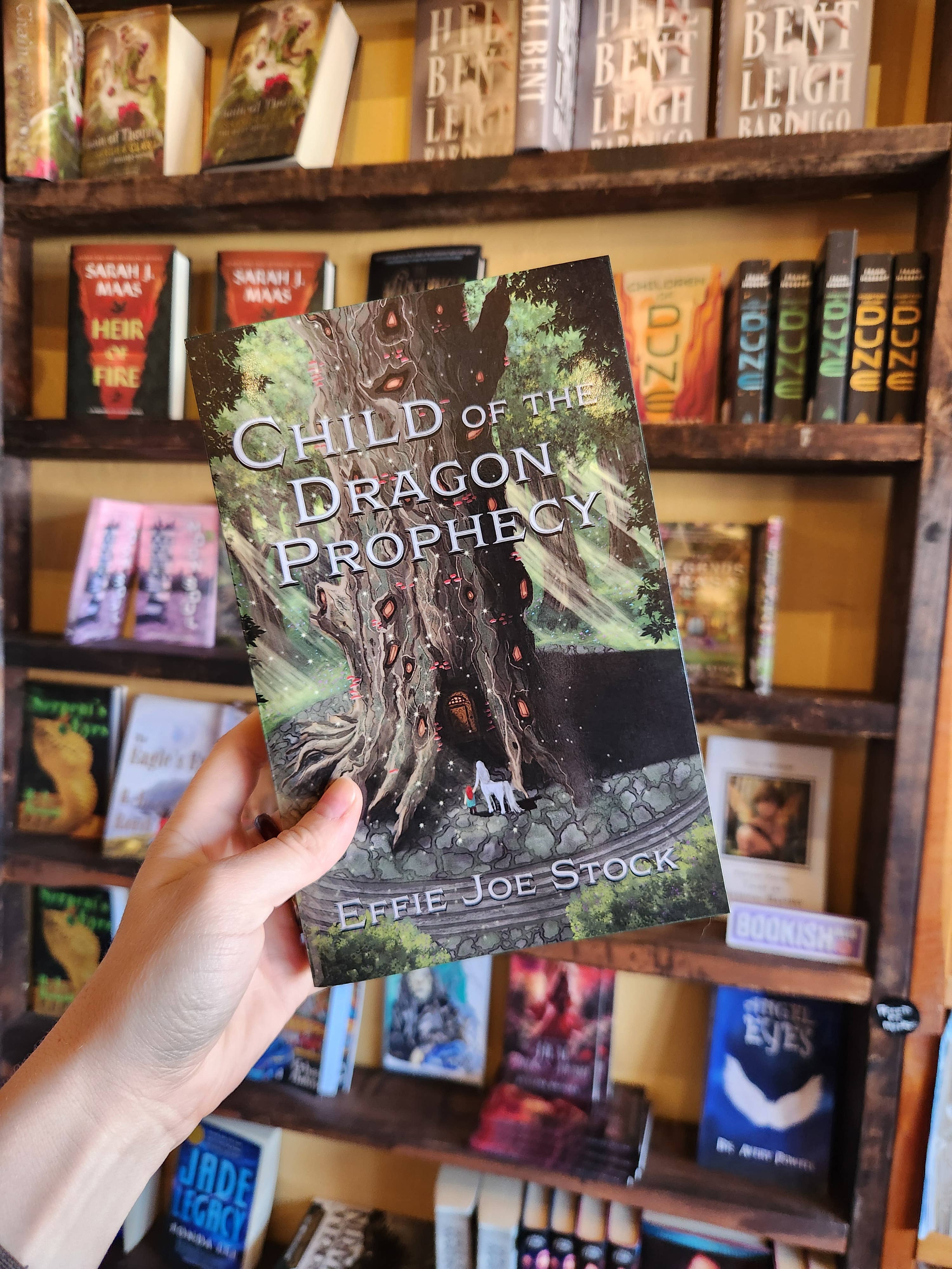 Dragon Bone Publishing - Wholesale Fantasy - Child of the Dragon Prophecy (The Shadows of Light Book 1)0