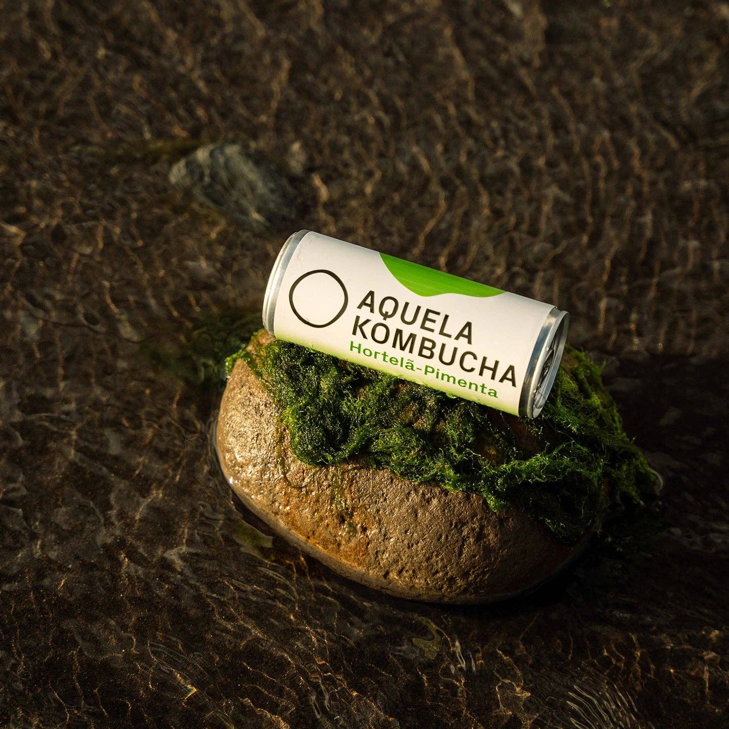 Geocakes - Vente Kombucha - Cette Kombucha Menthe Poivrée BIOlogique - Canette 250ml3