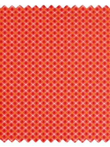 25M Printed Cotton Ingo for wholesale by Petit Pan