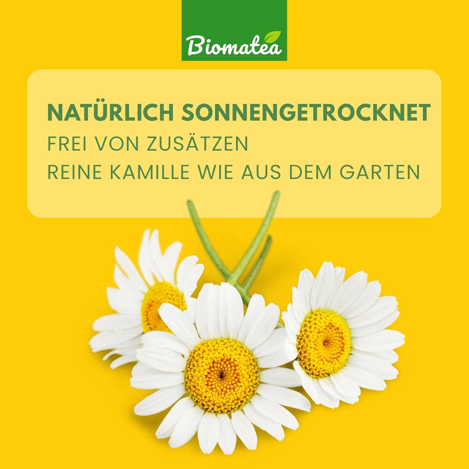 Biomatea - Wholesale Loose Tea - Chamomile flowers, 100 g dried chamomile tea, chamomile flower tea5