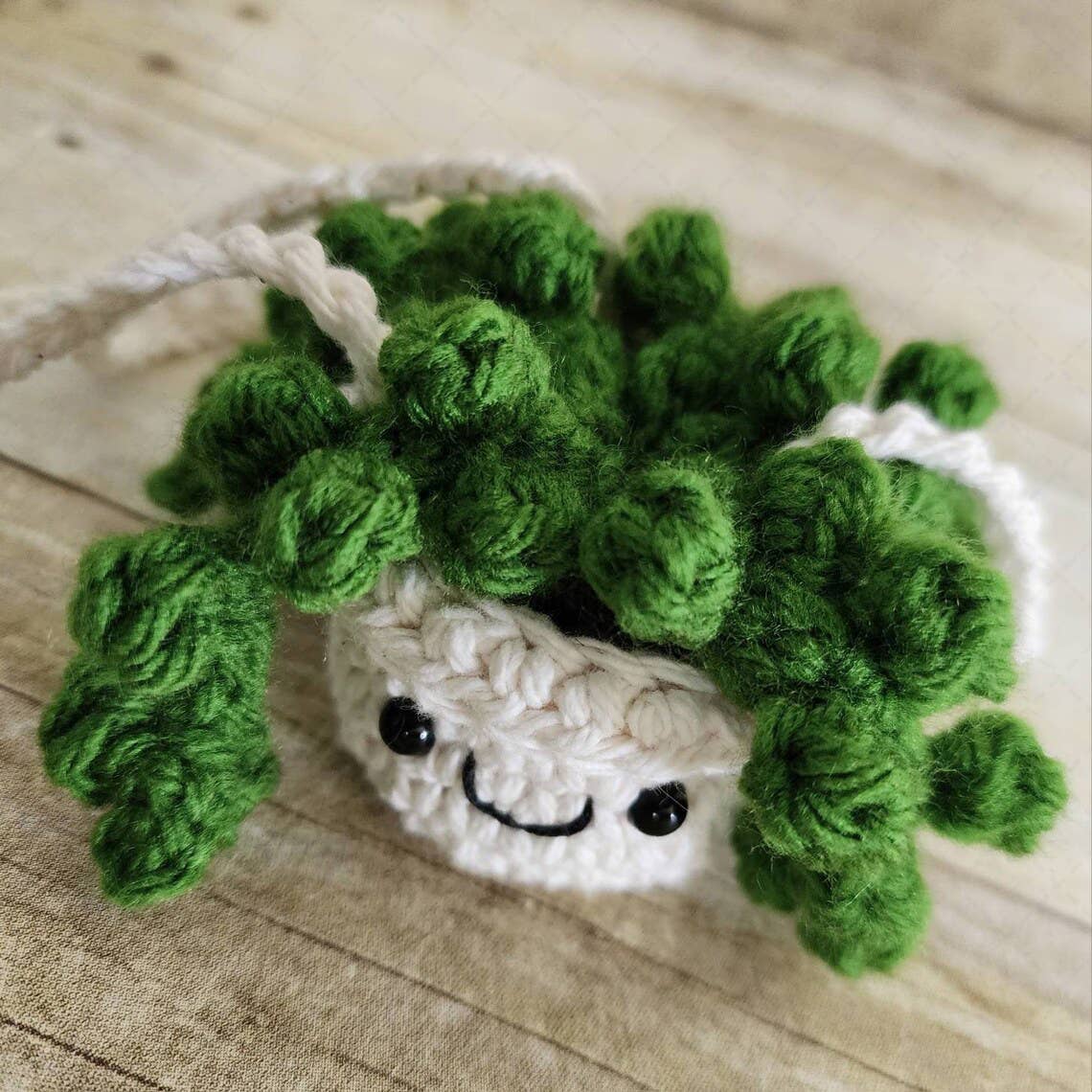 TOMOPOD LLC - Wholesale Car Decorative Charm - Unisex - Mini Crochet Succulent Car Mirror Hanging, Car Plant Decor6