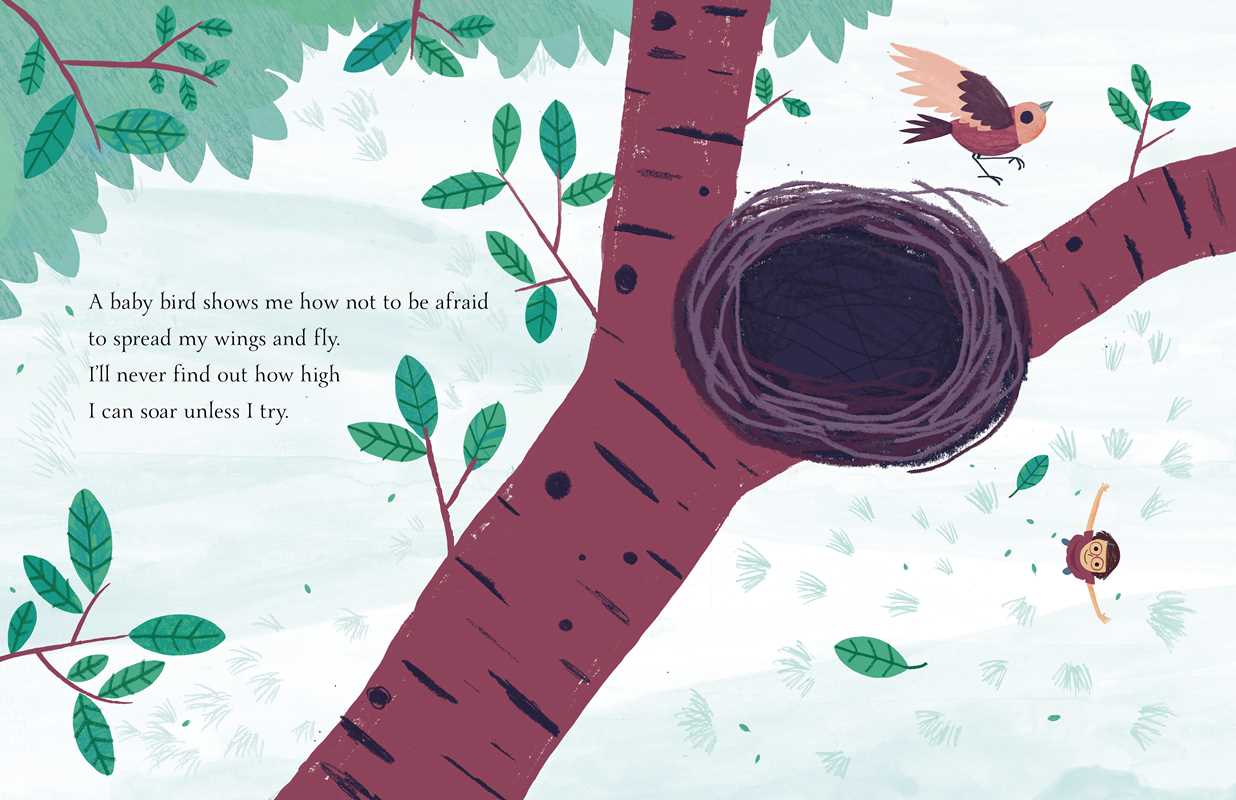 Simon & Schuster - Wholesale Preschool Book (3-5) - From Tree to Sea by Shelley Moore Thomas6