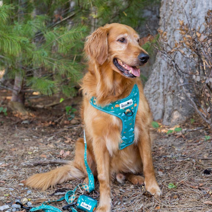Camping Harness for wholesale by The Modern Dog Company