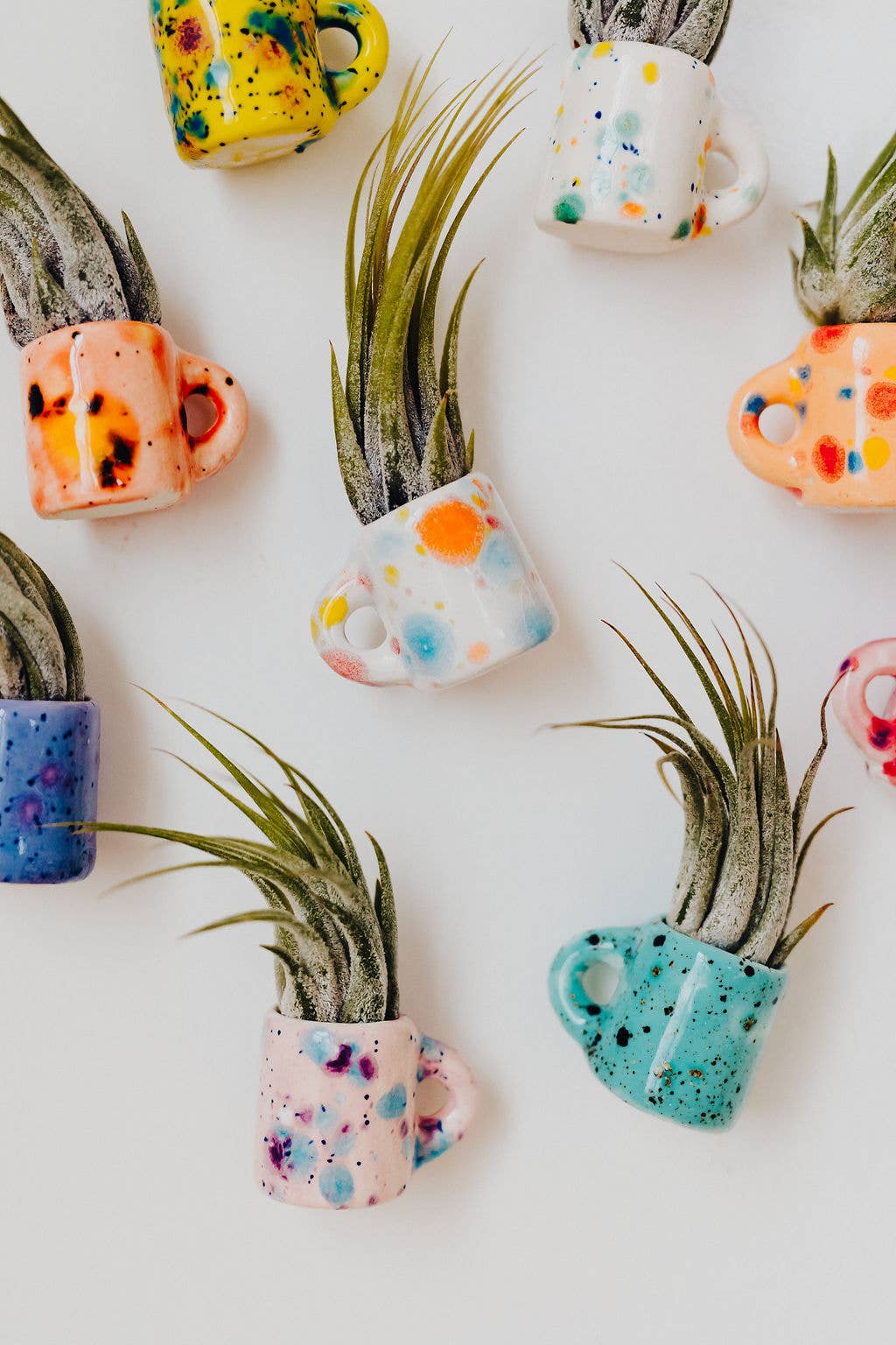 The Glazing Sun - Vente Plante - Mini tasse magnétique en forme de plante aérienne7