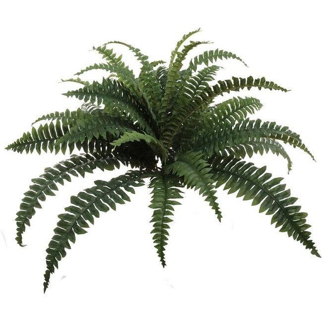 Larksilk - Wholesale Artificial Plant - 34" Wide Boston Fern Plant with 30 Silk Fronds Faux Greenery0