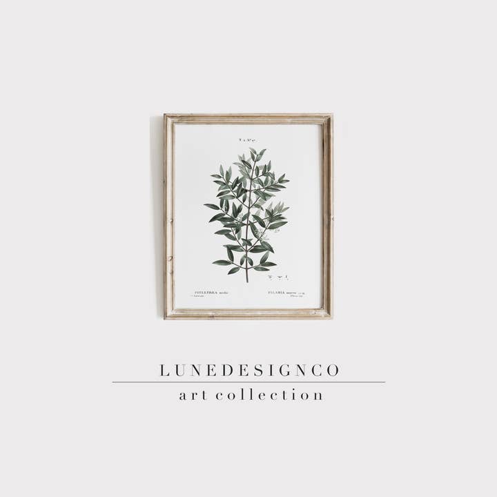 Botany Branch Print for wholesale by Lunedesignco
