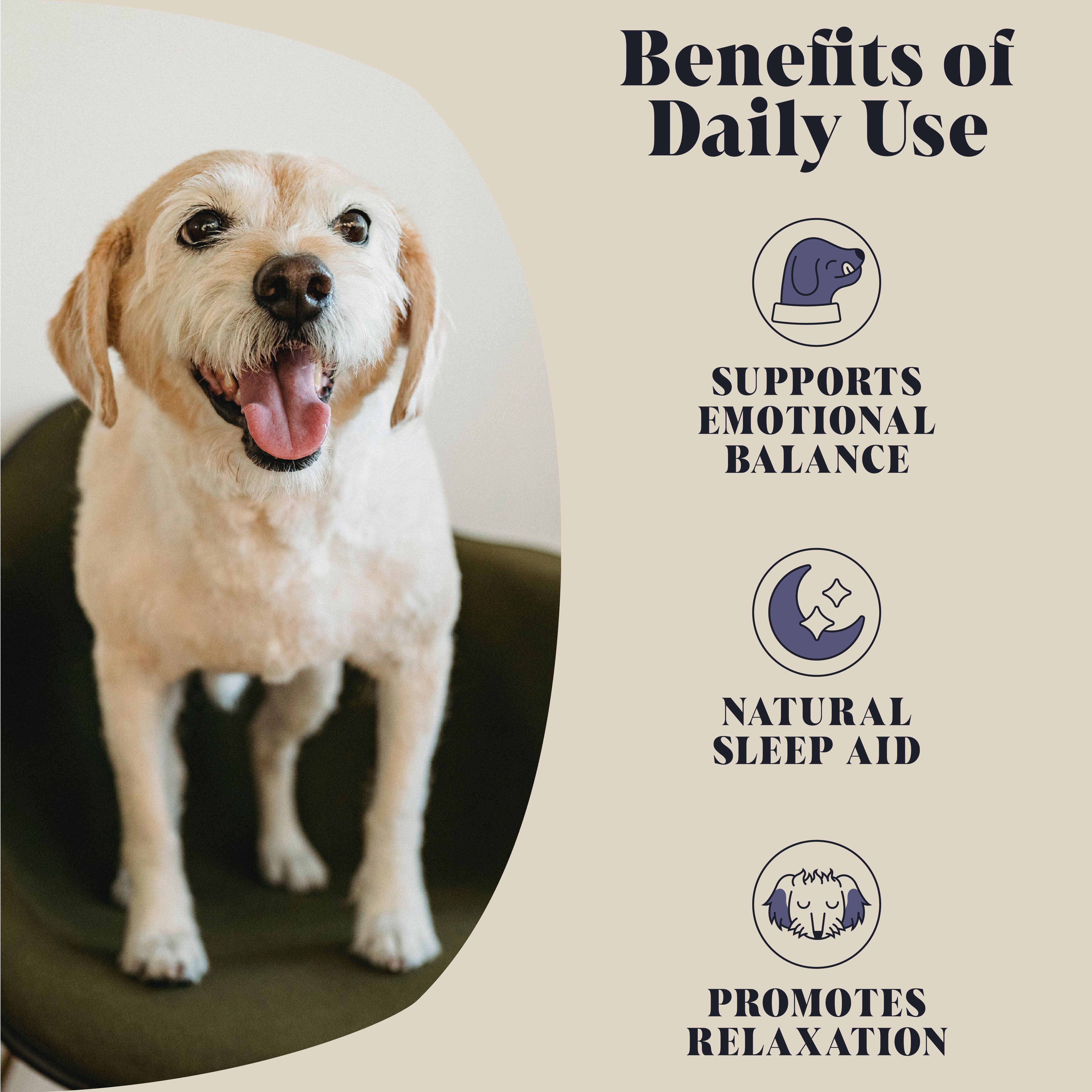 Hackney Dog House – wholesale Pet supplement – Dog – Calming Goats Milk Powder for Dogs | Makes Twelve Pints3