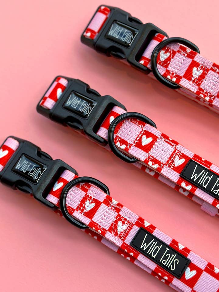 Love Letters Collar for wholesale by Wild Tails Co