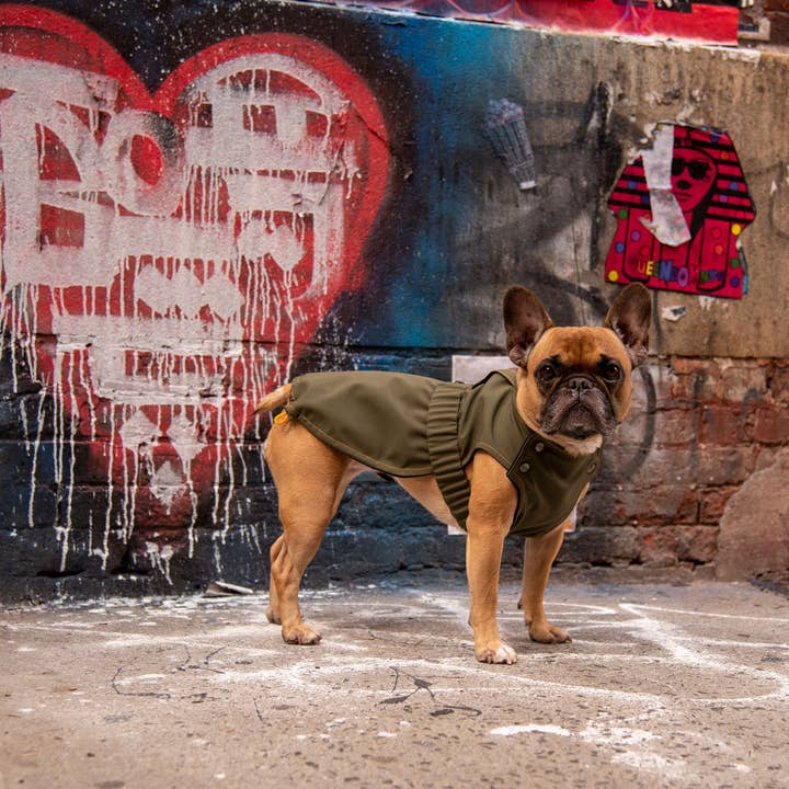 Brownie Rain - Olive pour la vente par Kizzou