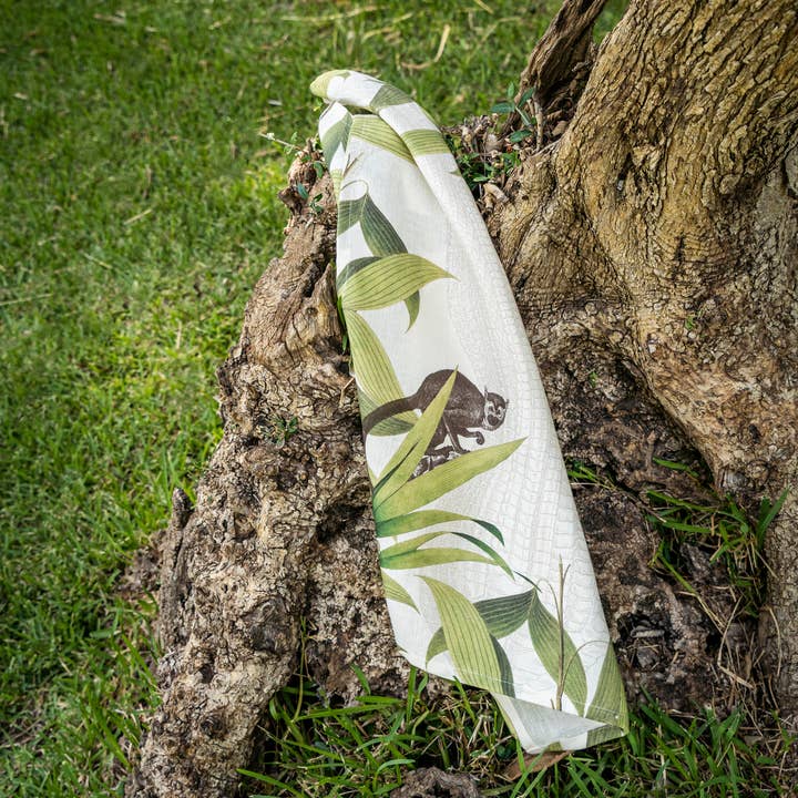 Palmier Kitchen Towels and other Purchase Wholesale palmier. Free Returns & Net 60 Terms on Faire trending on Faire.