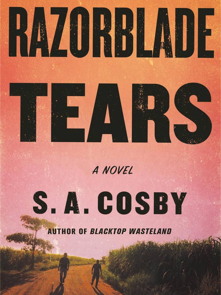 Razorblade Tears: A Novel for wholesale by Macmillan Publishers